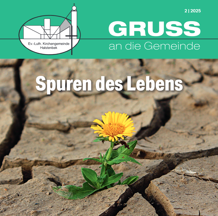 Kirchenbrief-Cover: Blume blüht in rissiger Erde, Hoffnung und Leben.