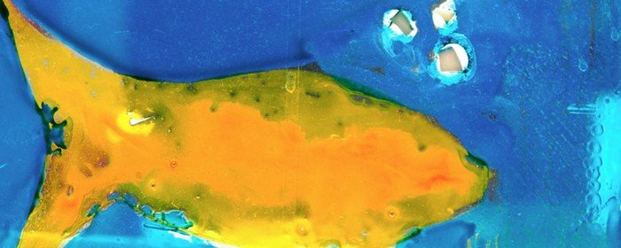 Abstraktes Gemälde eines leuchtend gelben Goldfisches in blauem Wasser.